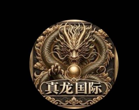 真龙国际